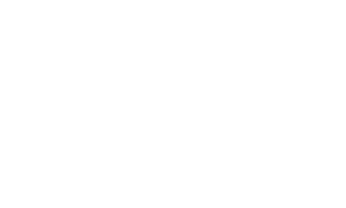 Ak Parti / Selçuklu Logo