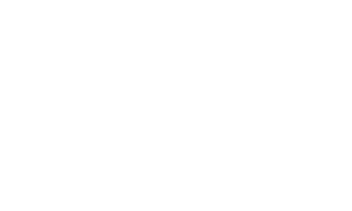 Togga Shoes Logo