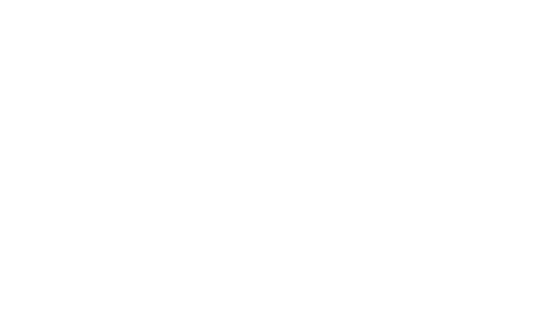 Brandi Home Logo